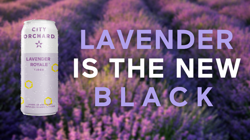 lavender_new_black